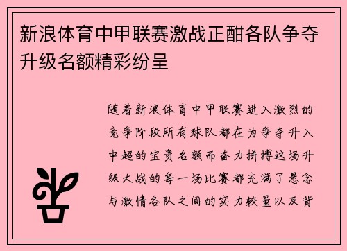 新浪体育中甲联赛激战正酣各队争夺升级名额精彩纷呈